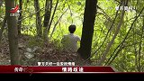 传奇：孙女跟陌生男人惨死一屋，竟是情债找上门！让人看了直摇头