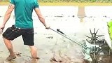 这个种水稻感觉好方便，小面积梯田有这东西那能省不少事