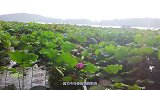 泰山：人人人！2019年六大热门景点今年人流情况如何？