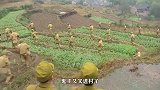 梦想光荣日军进村扫荡，村妇埋下各种陷阱，躲在水井里杀鬼子