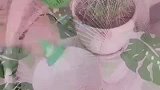 几个很实用的清洁小秘方，
