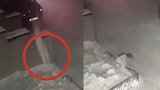 俄罗斯6岁女孩从4楼坠落掉进雪堆幸无大碍 母亲或面临起诉