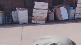 4岁大的孩子，抢着帮爸爸干活，以后必将是生活的强者！