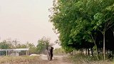 你一出现阴天变成晴天