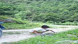 我妈说人家生闺女家里活都有人干，哎，还好二叔家有辆拖拉机