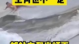 主角也不一定都站在聚光灯下