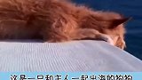善念无处不在，这是个什么神仙结局呀