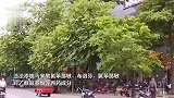 东莞凉茶店老板用布洛芬等药制茶，获刑7个月