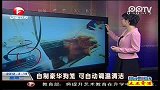 自制豪华狗笼  可自动调温清洁