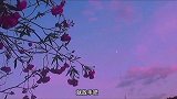 还是算了吧再耗着也不会有惊喜