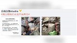 粉丝寄上万千纸鹤送别高以翔，公司配文错用笑哭表情，是太累了？