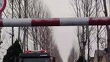 谁也拦不住我们去拯救二师兄
