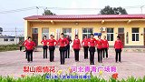 经典金曲广场舞《梨山痴情花》听着心醉，跳着优美