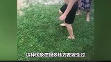 让人难以相信的事