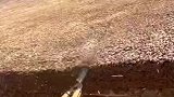 见过给房子理发的吗