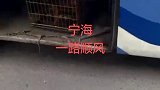 原来懒也能上热搜