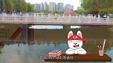 为什么石家庄是最没有存在感的省会城市?
