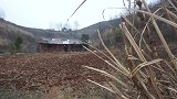 二哥做的“鳝鱼”，一口一个，看馋了