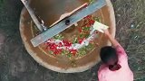 石碾子辣椒，农村生活