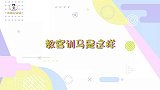 不愧是“重庆崽”！姚琛训马急到直飚方言，新疆马表示“听不懂”