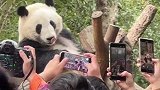花花怨种弟弟高光时刻，心里肯定很高兴吧