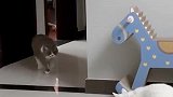 猫：哎呀，被大白猫：埋伏了！