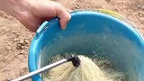 为了给果树授粉小伙真是拼了