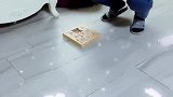 既然养了它们就好好爱护它们。那些遗弃狗狗的，我真的不能理解，