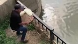 带你见见什么叫爆网