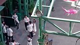 《奔跑吧》最新路透,兄弟团与嘉宾聚集同框,男帅女美太养眼