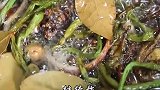 货真价实的
