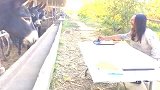 驴这位大师的脑袋哪位兄台踢的