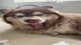 你被传染了吗