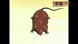 龙珠：布玛诡异掏出一颗大宝石，你确定不硌得慌？