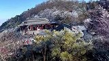 网友说爬泰山登山杖不用买