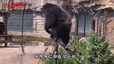 妹子 今天这票没白买吧 还不赶紧刷个香蕉啊