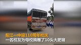 别人家的校友！中学110周年校庆 校友为母校捐赠10头猪