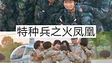 10部关于特种兵的电视剧，你最喜欢哪部呢？