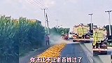 路上晒玉米，洒水车视而不见
