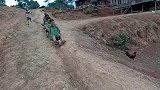 柬埔寨的小孩子