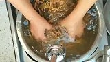 地瓜梗和干豆角锅里焖饼子，饼薄如纸，菜软烂入味，太多人没吃过