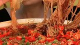 麻辣细粉条,我的最爱啊！