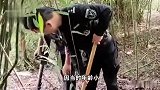 浙江一男子想起10岁时埋过炮弹连忙报警，公安已处理