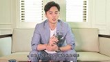 蒋欣和他同居13年，分手后从3线跌到18线，蒋欣让他高攀不起