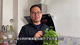 家里吃不完的香菜，试试这种秘制新做法，当天就能吃，简单又美味