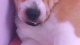 看到你我就血压上升了