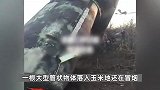 山西一乡镇疑似落下火箭推进器残骸，当地：已提前疏散群众无伤亡