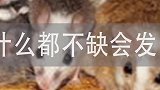 不愁吃喝有房有车，这种日子真的会有吗