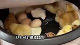 湖北宜昌：女子用电饭锅，21天孵出一过小鸡