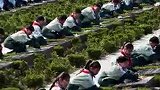 清明节前夕，安徽一小学组织学生来到烈士陵园祭扫